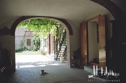 Galeriebild